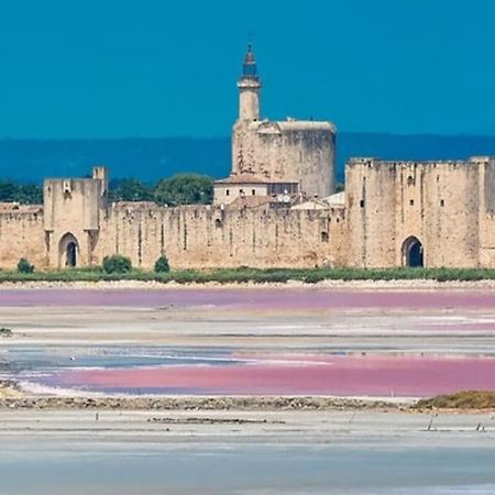 Studio En Petite Camargue Le Cailar Ngoại thất bức ảnh