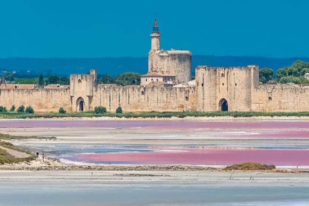 Studio En Petite Camargue Le Cailar Ngoại thất bức ảnh